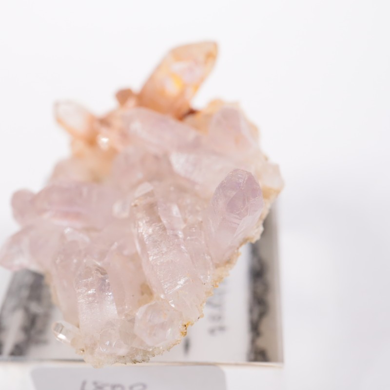 �٥饯�륹�� ���᥷����