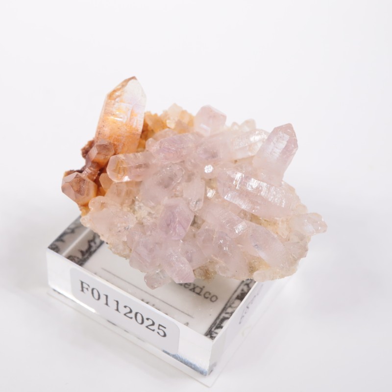 �٥饯�륹�� ���᥷����