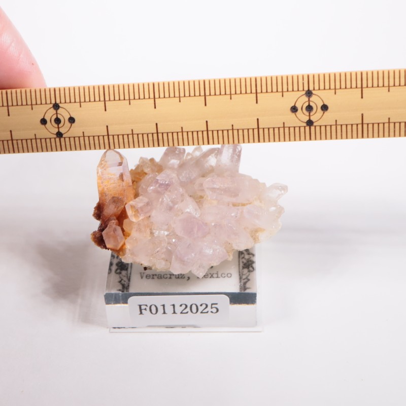 �٥饯�륹�� ���᥷����