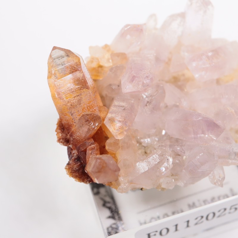 �٥饯�륹�� ���᥷����