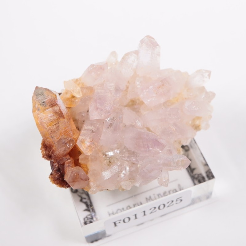 �٥饯�륹�� ���᥷����