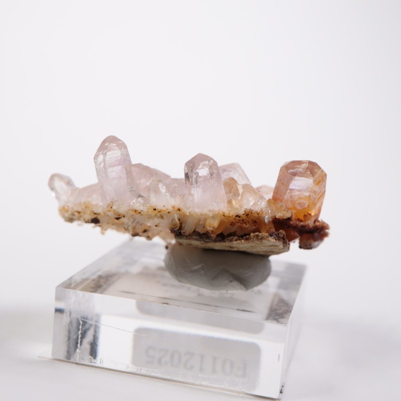 �٥饯�륹�� ���᥷����