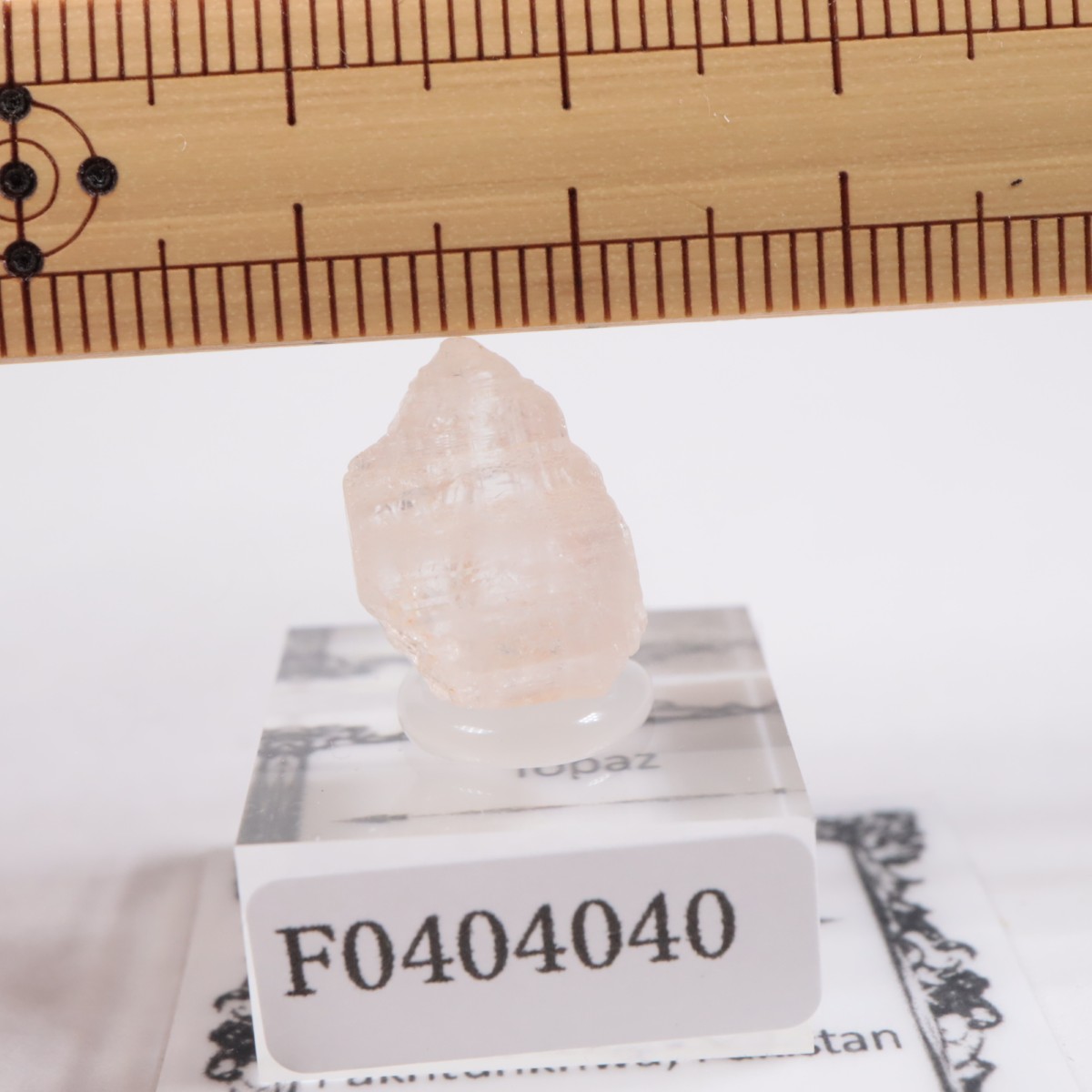 Katlang�� �ȥѡ���