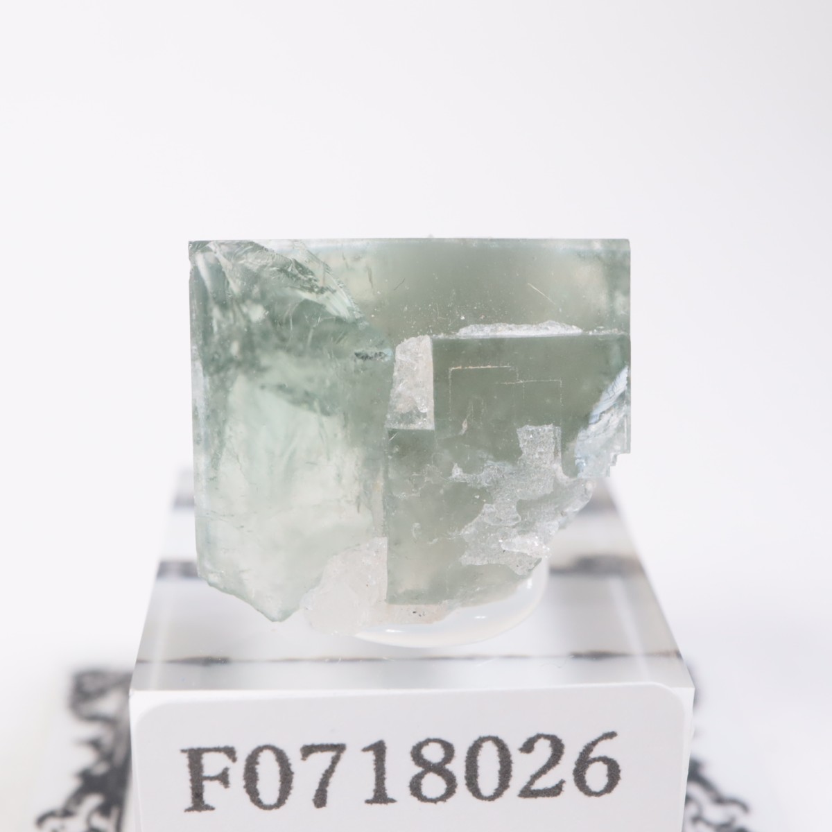 �ե�󥹻����ե����饤��