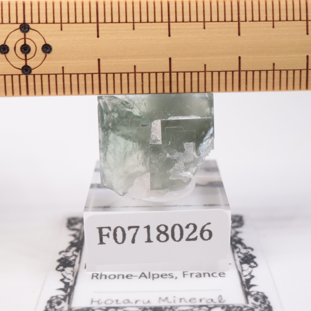 �ե�󥹻����ե����饤��