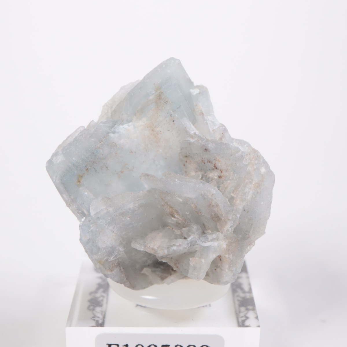 ���ڥ��� �Х饤��