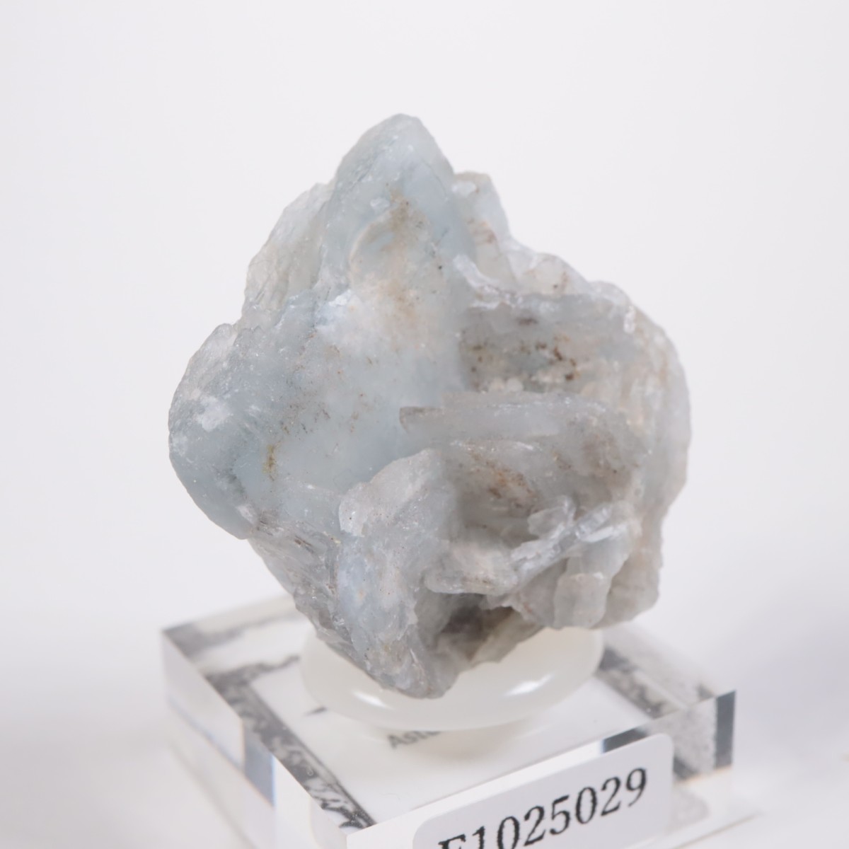 ���ڥ��� �Х饤��