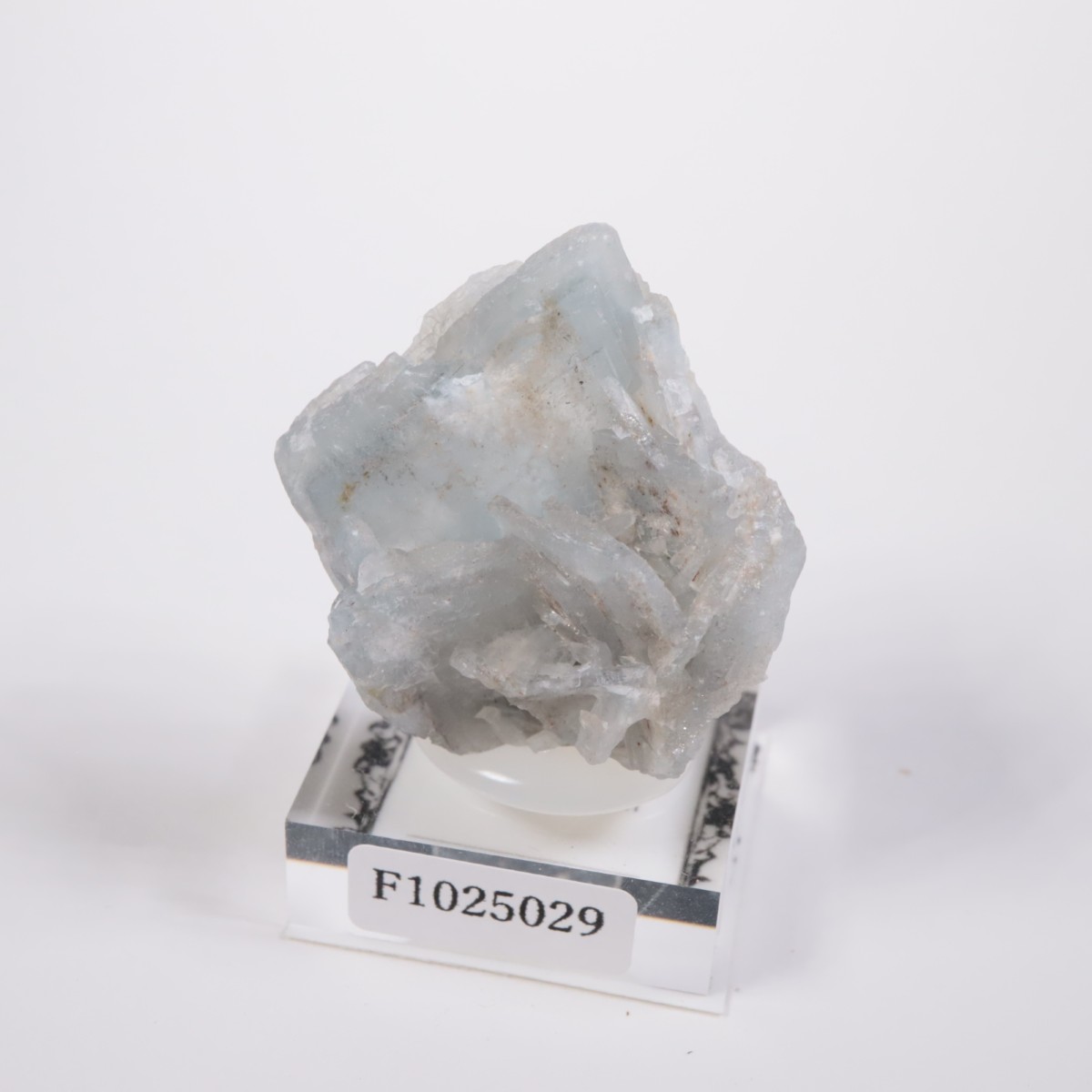 ���ڥ��� �Х饤��