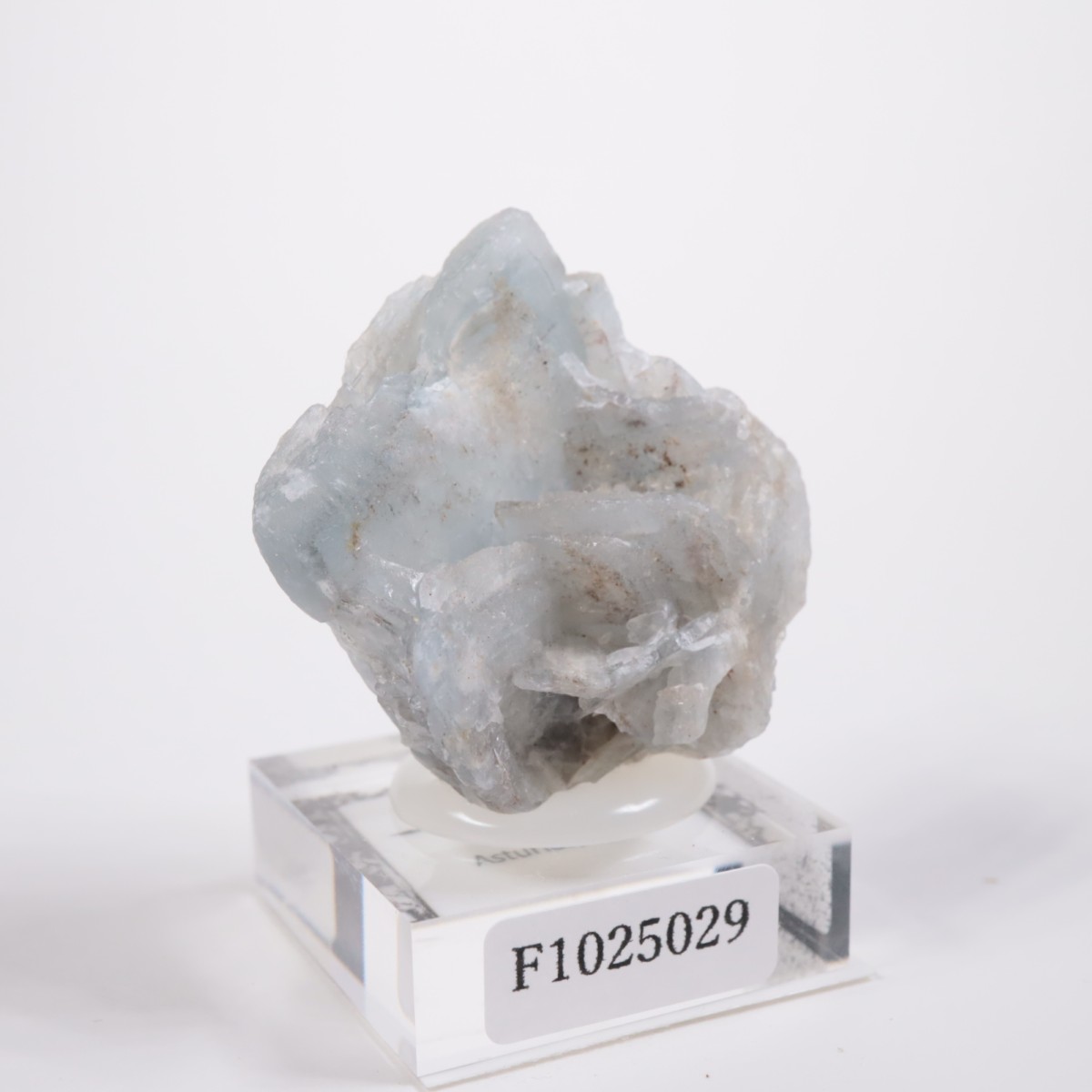 ���ڥ��� �Х饤��