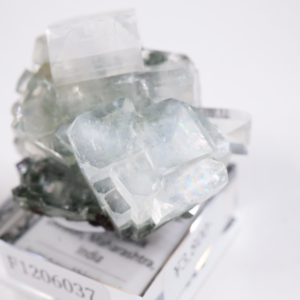 ����ɻ� ���ݥե��饤��