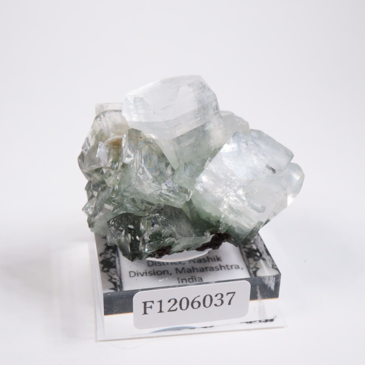 ����ɻ� ���ݥե��饤��