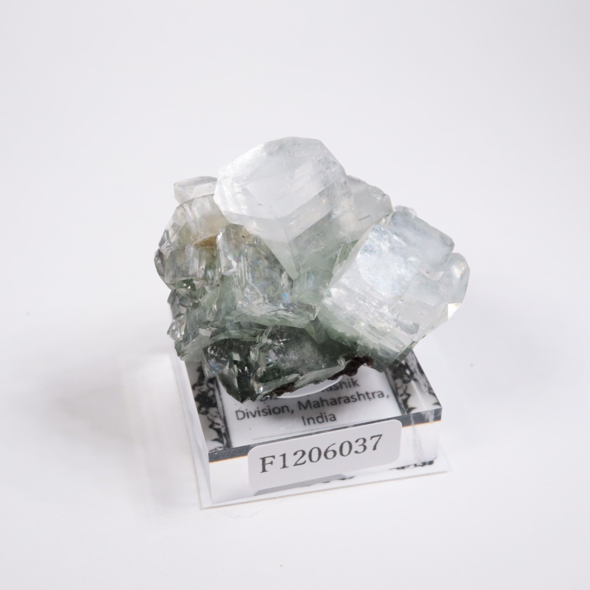 ����ɻ� ���ݥե��饤��