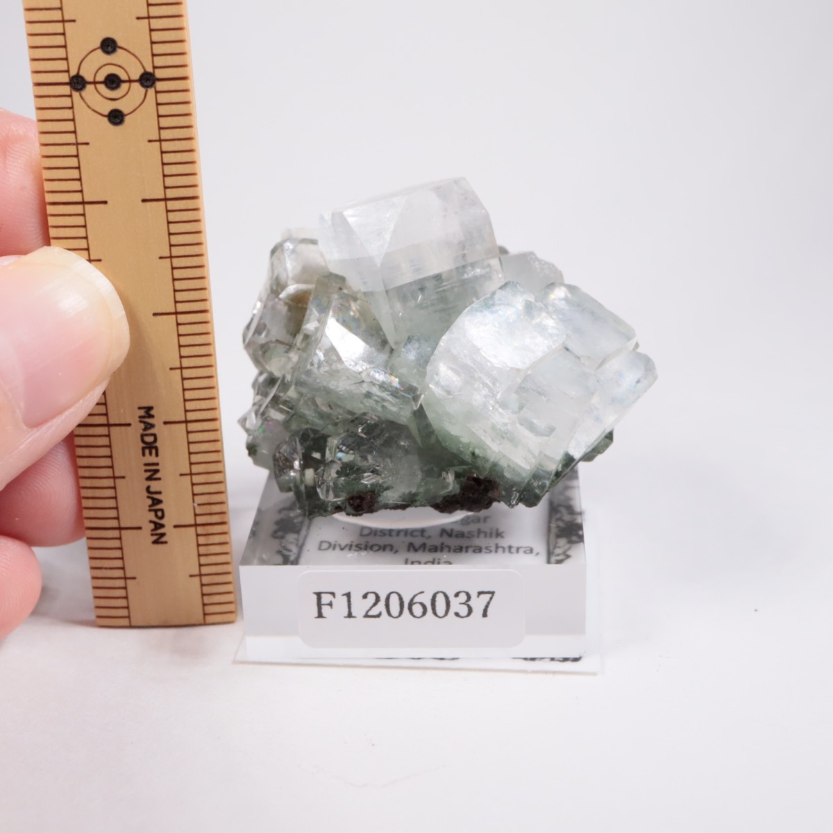 ����ɻ� ���ݥե��饤��