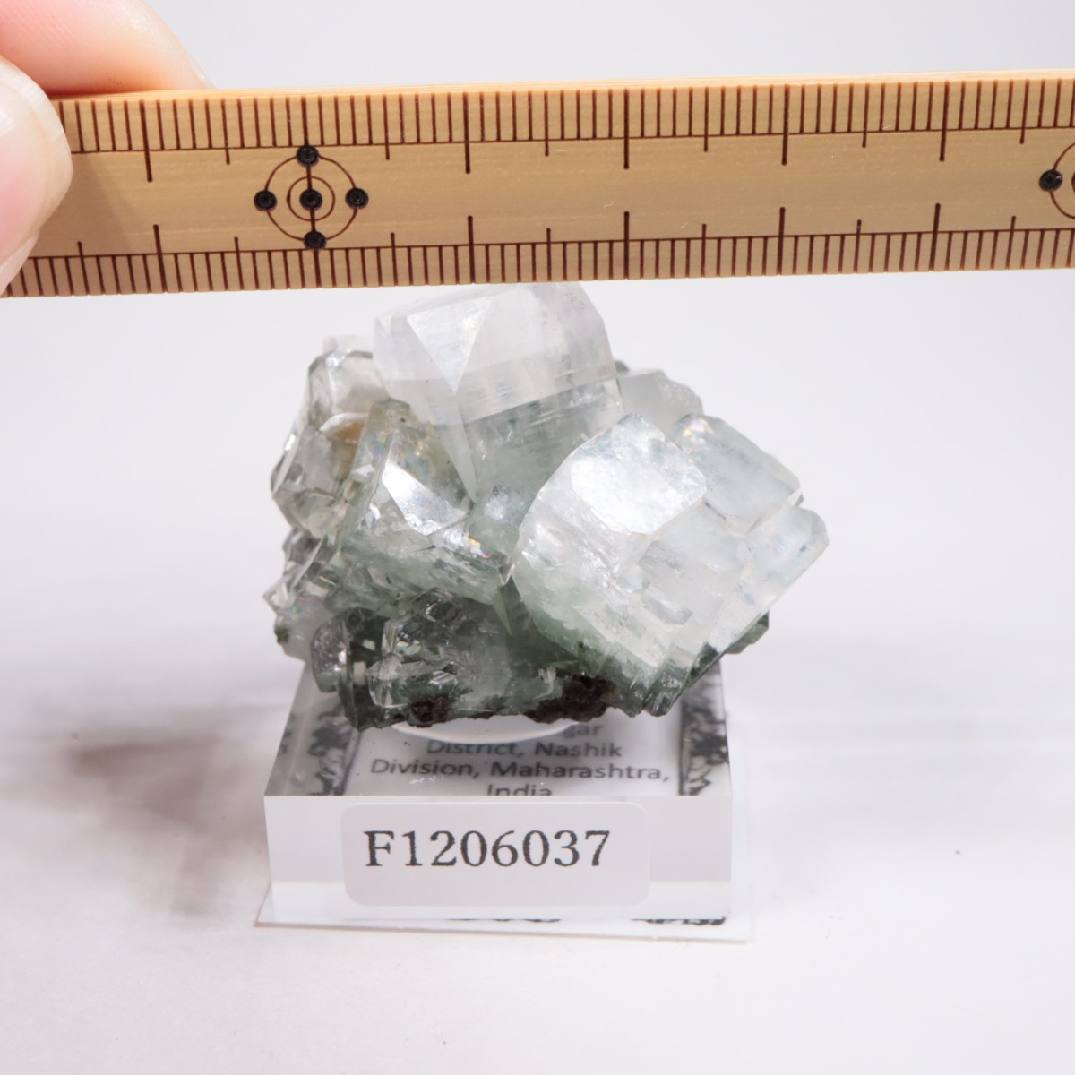 ����ɻ� ���ݥե��饤��