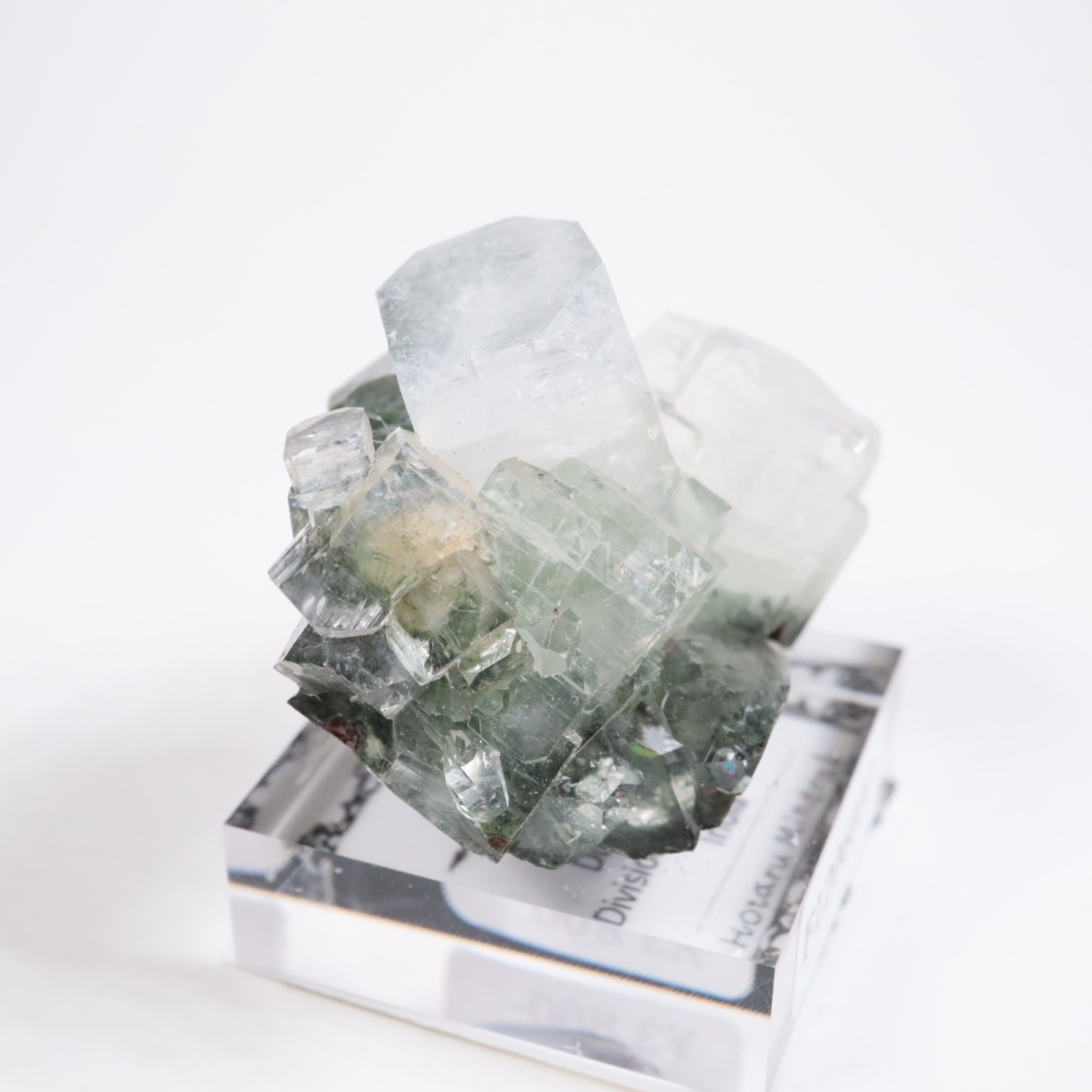 ����ɻ� ���ݥե��饤��