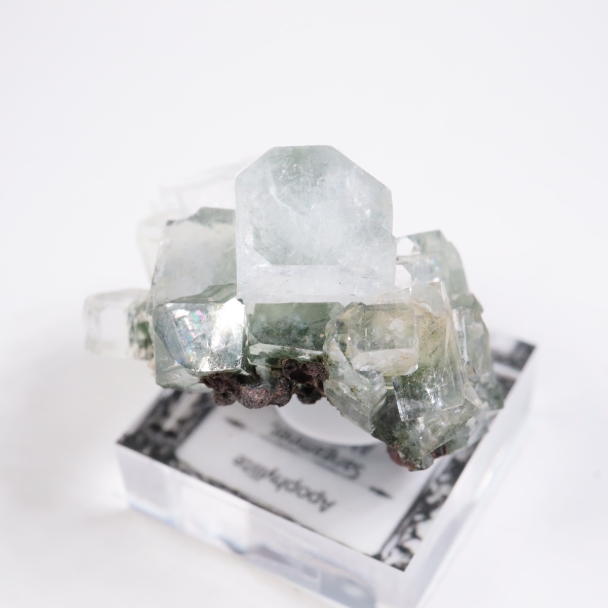 ����ɻ� ���ݥե��饤��