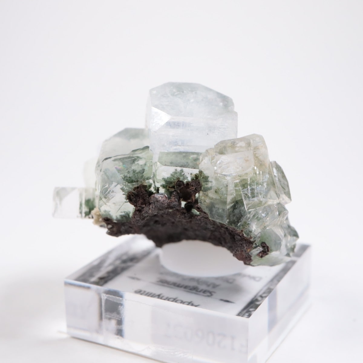 ����ɻ� ���ݥե��饤��