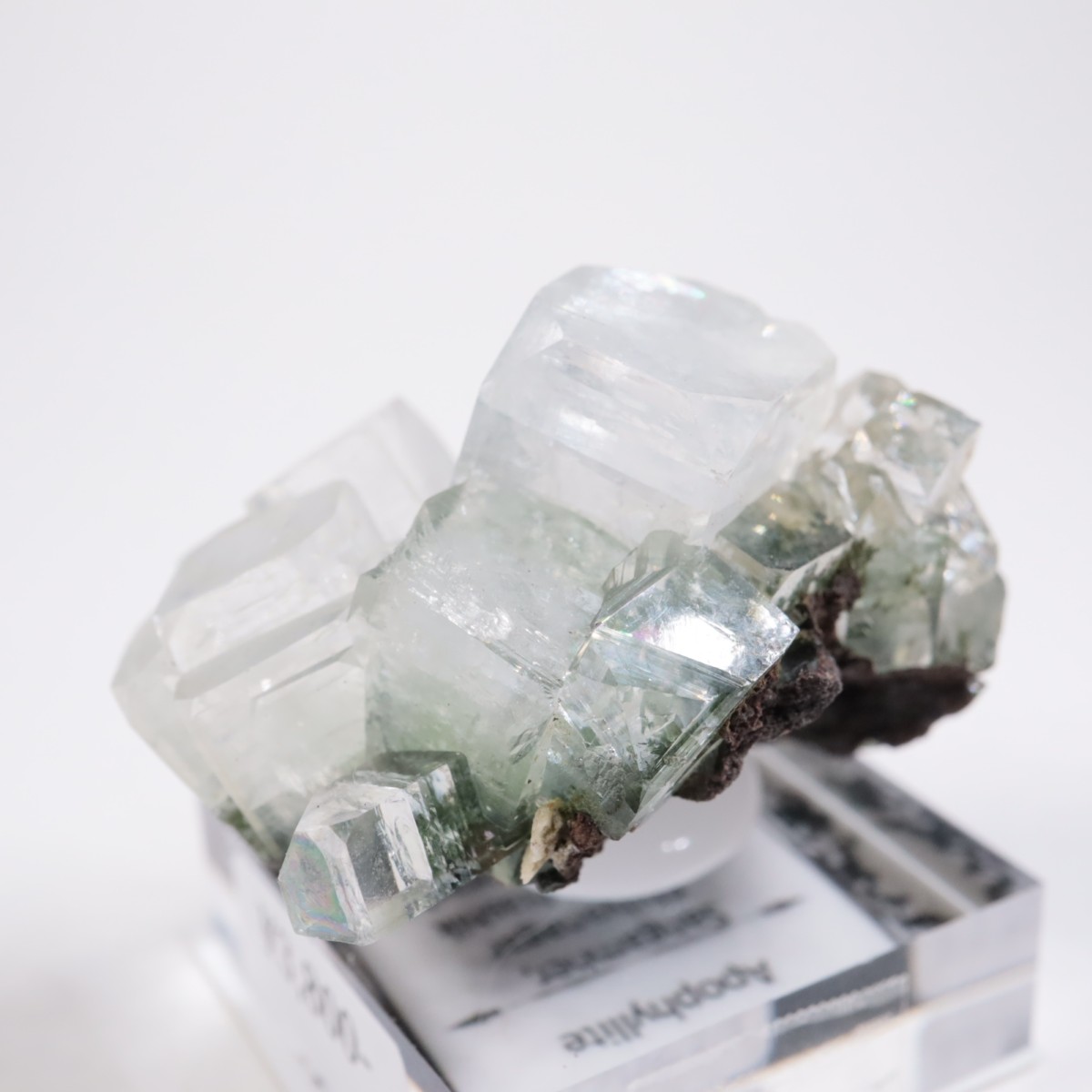 ����ɻ� ���ݥե��饤��