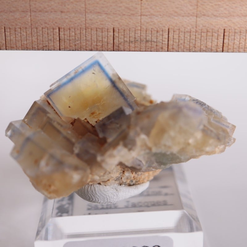 �ե�󥹻����ե����饤��