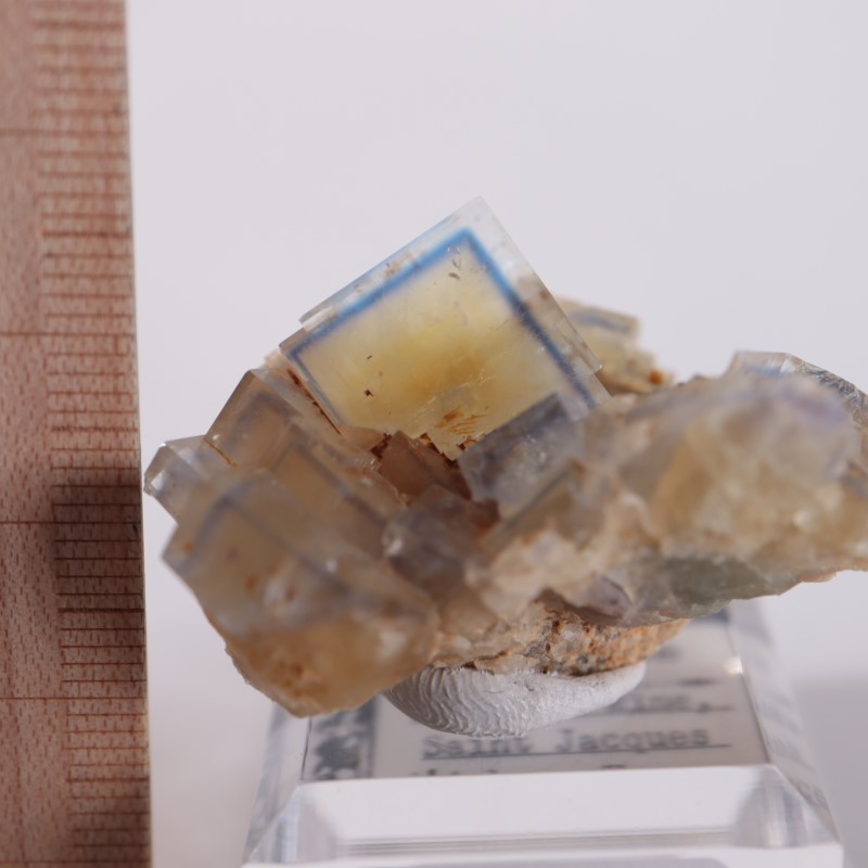 �ե�󥹻����ե����饤��