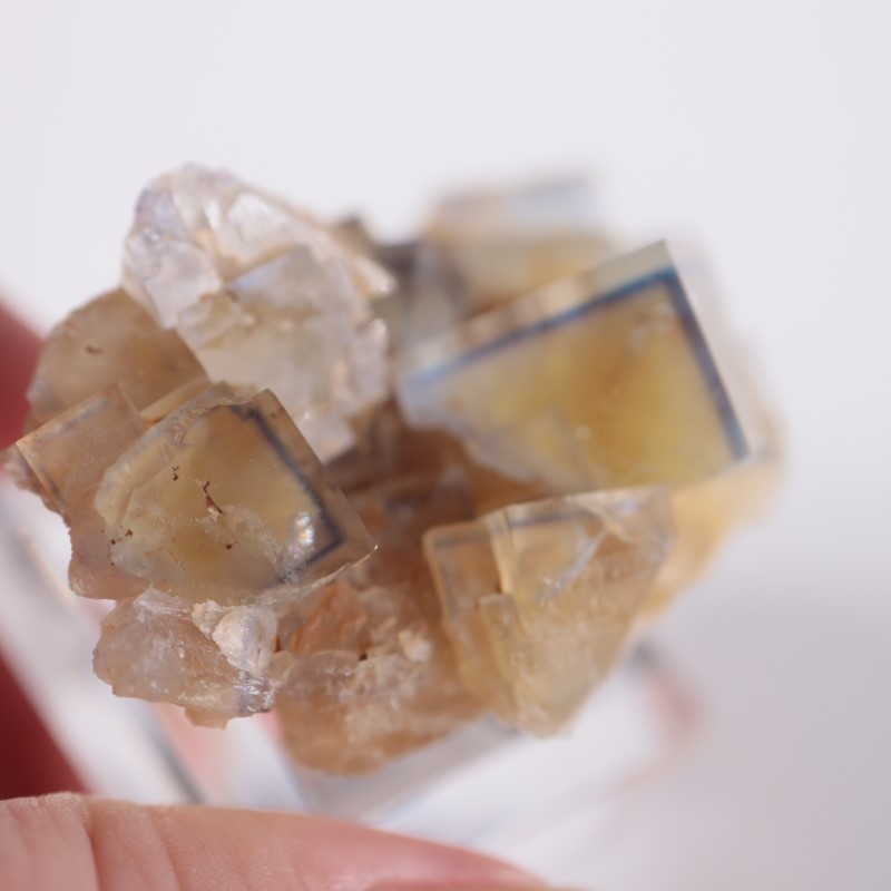 �ե�󥹻����ե����饤��