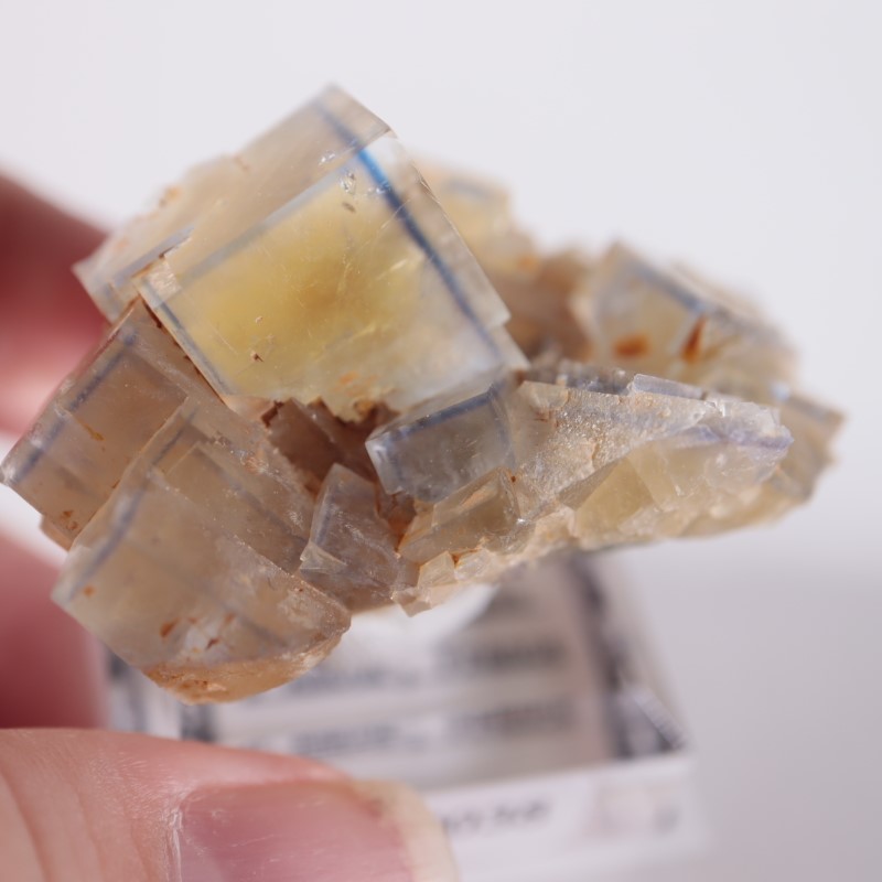 �ե�󥹻����ե����饤��