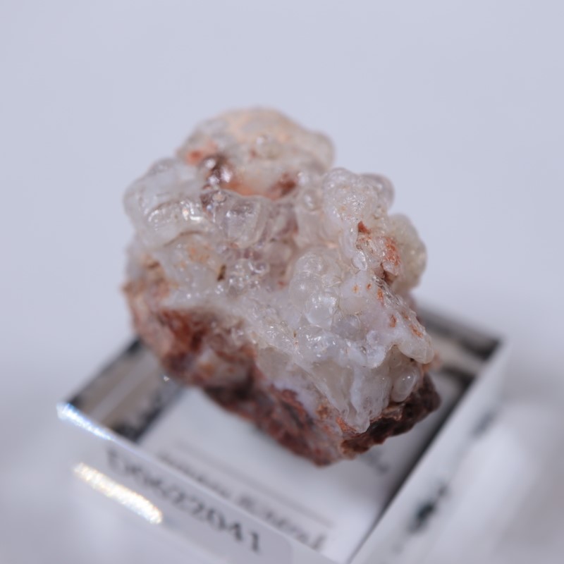 San Luis Potosi産 ハイアライトオパール | 鉱物標本,ア行