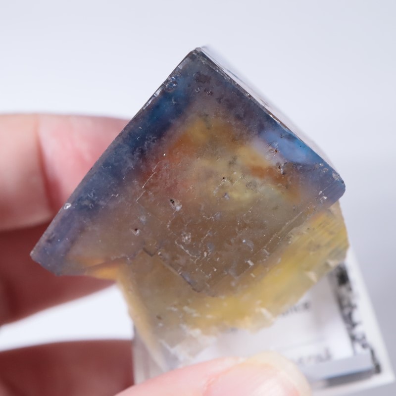 フランス産 フローライト×クォーツ 蛍石水晶 鉱物標本 Valzergues鉱山 フローライト | 鉱物標本,ハ行,フローライト/蛍