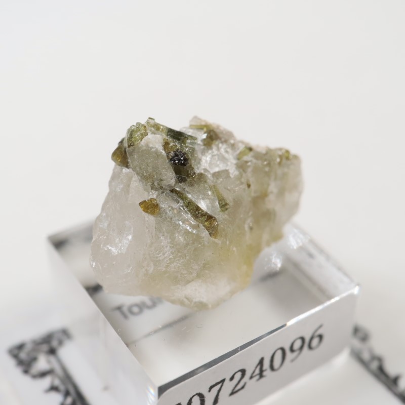 �֥饸�뻺���ȥ�ޥ��