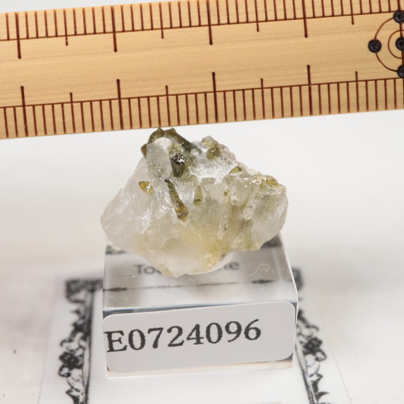 �֥饸�뻺���ȥ�ޥ��