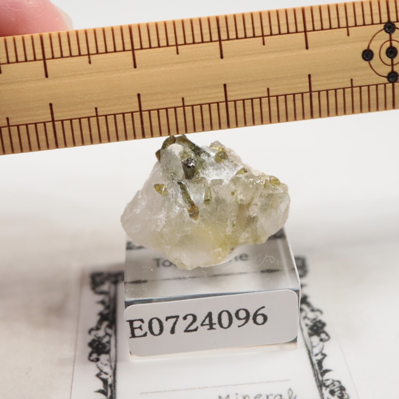 �֥饸�뻺���ȥ�ޥ��