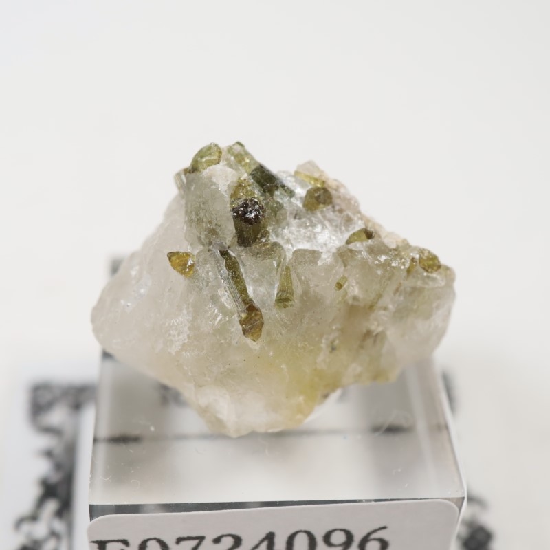 �֥饸�뻺���ȥ�ޥ��