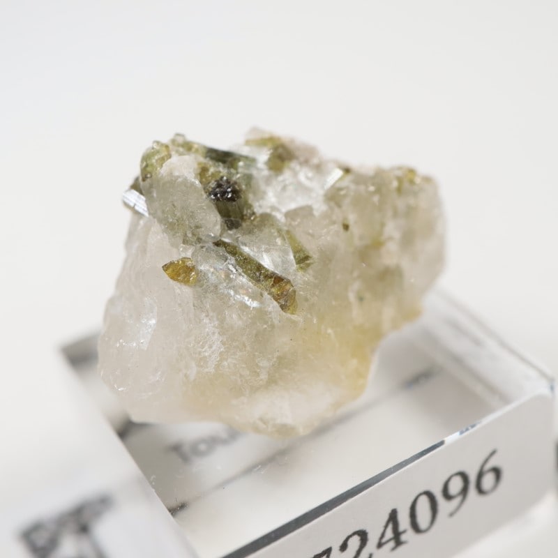 �֥饸�뻺���ȥ�ޥ��