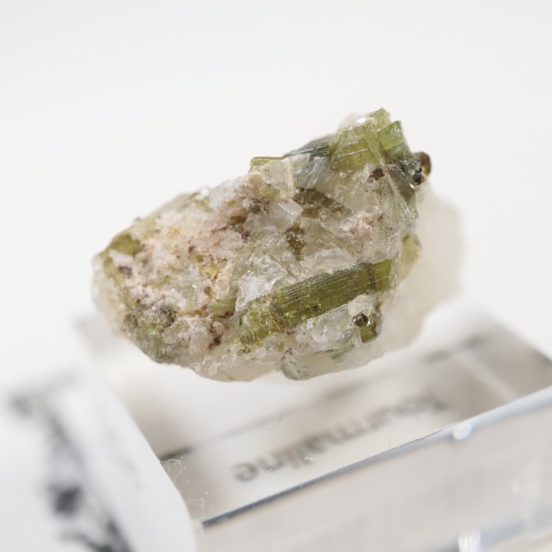 �֥饸�뻺���ȥ�ޥ��