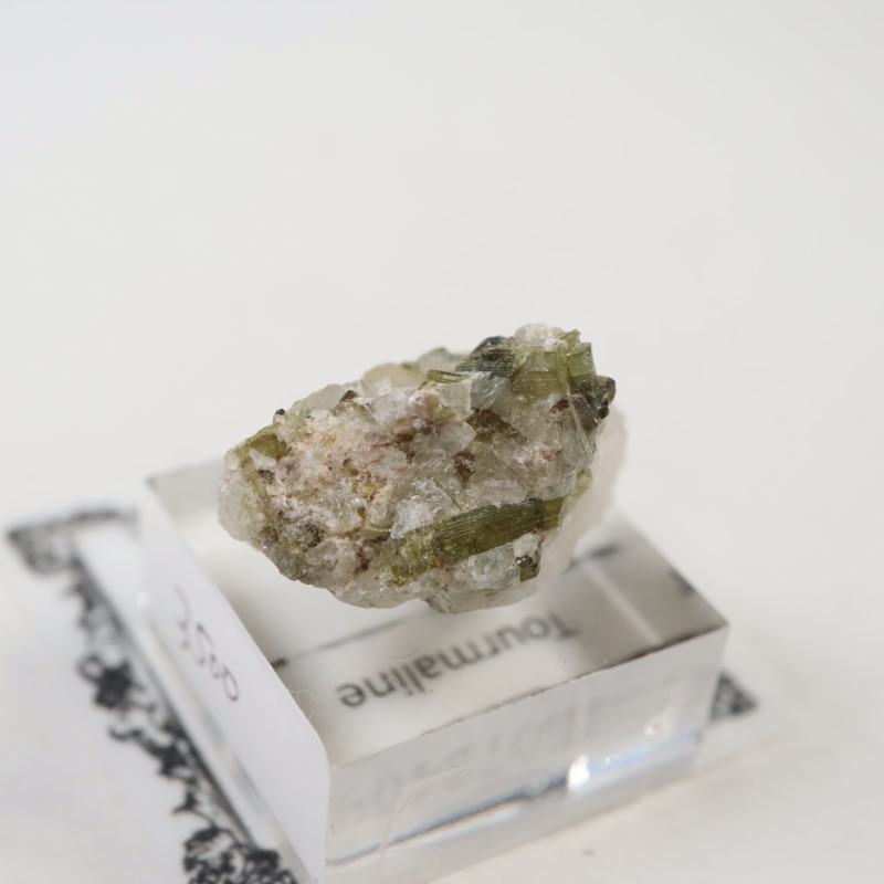 �֥饸�뻺���ȥ�ޥ��