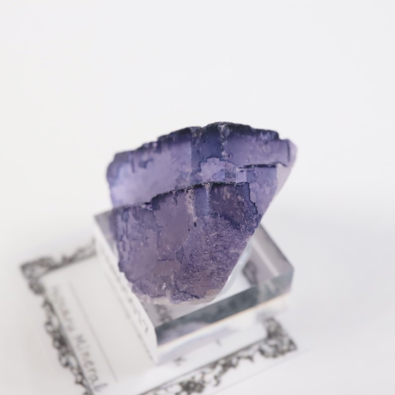 �ᥭ������ �ե����饤��