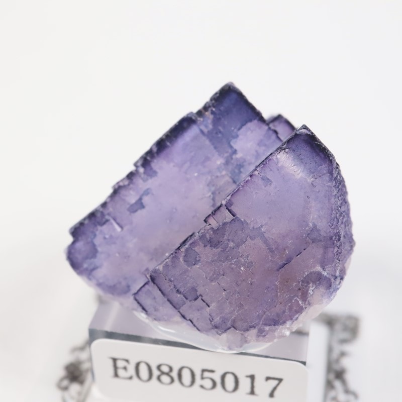 �ᥭ������ �ե����饤��