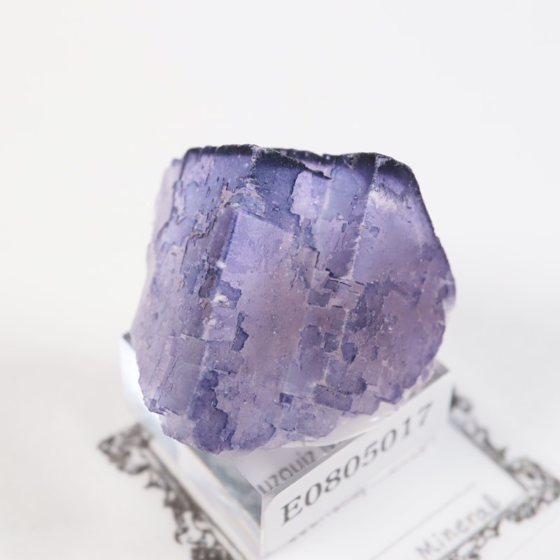 �ᥭ������ �ե����饤��