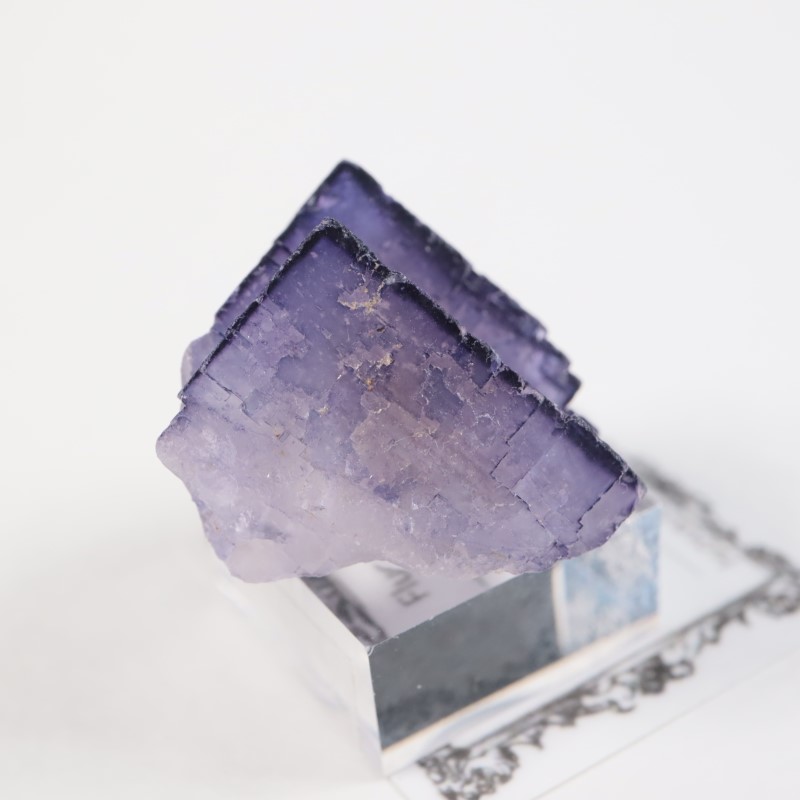 �ᥭ������ �ե����饤��