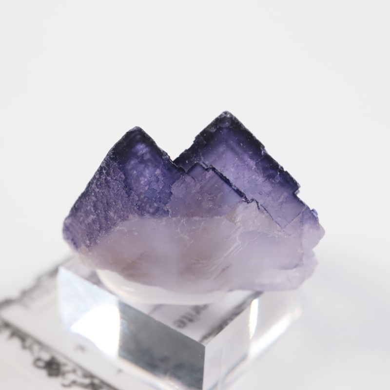 �ᥭ������ �ե����饤��