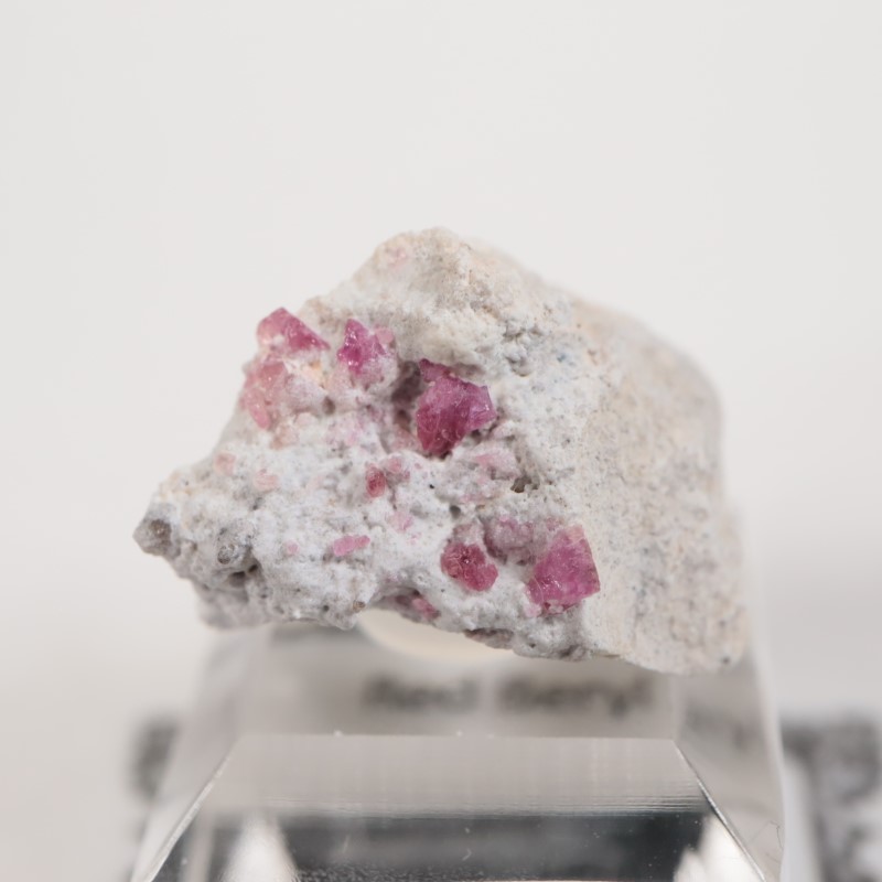 �楿���� ��åɥ٥��