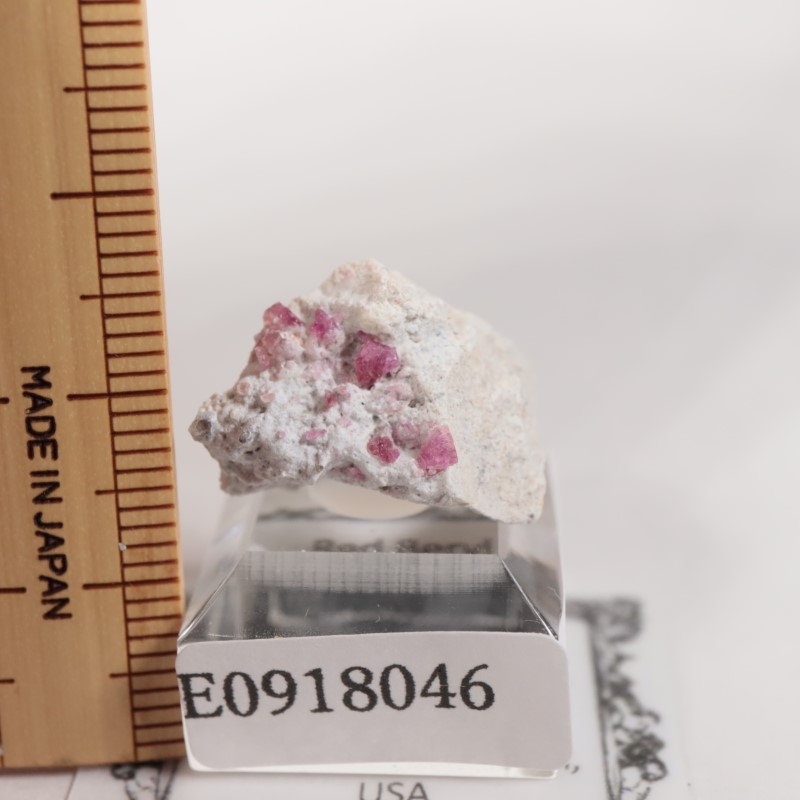 �楿���� ��åɥ٥��