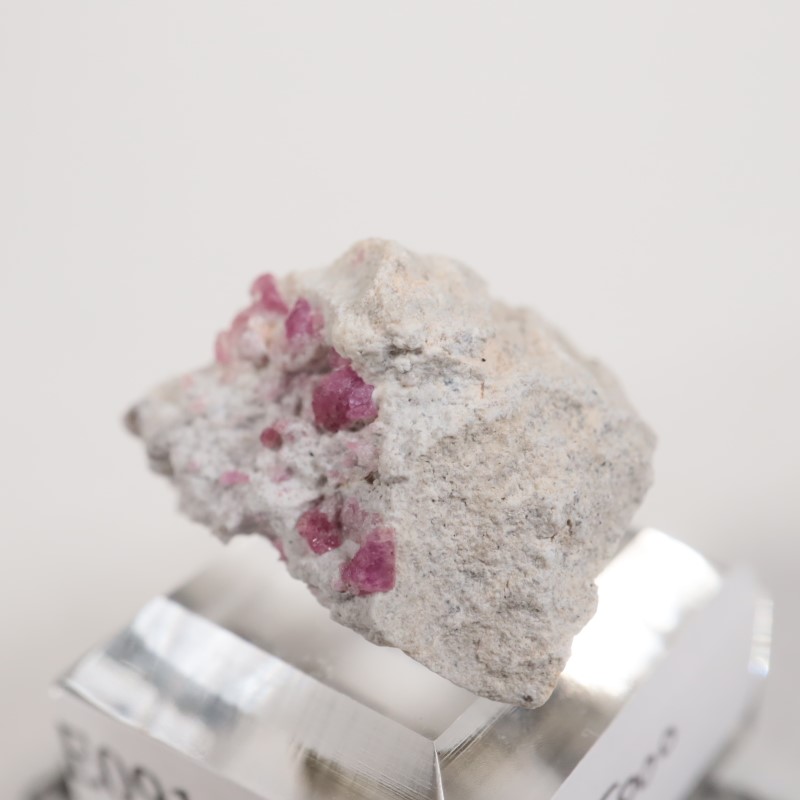 �楿���� ��åɥ٥��