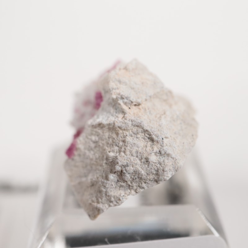 �楿���� ��åɥ٥��