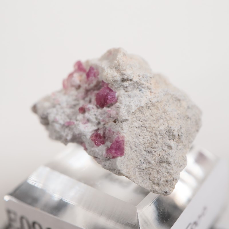 �楿���� ��åɥ٥��