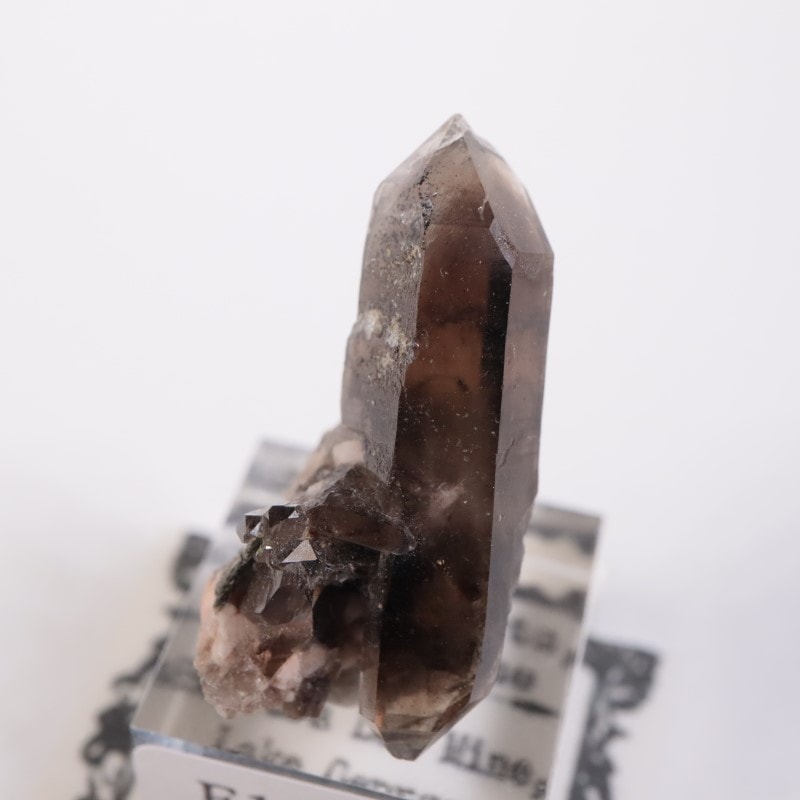 ������ɽ�����徽��Ĺ��