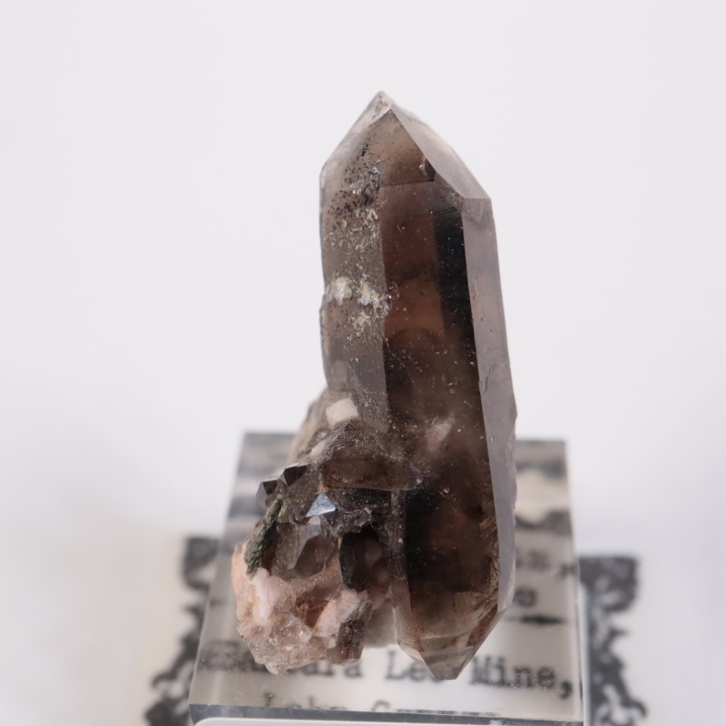 ������ɽ�����徽��Ĺ��