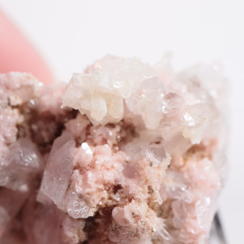 �֥륬�ꥢ�� �����ɥ���������