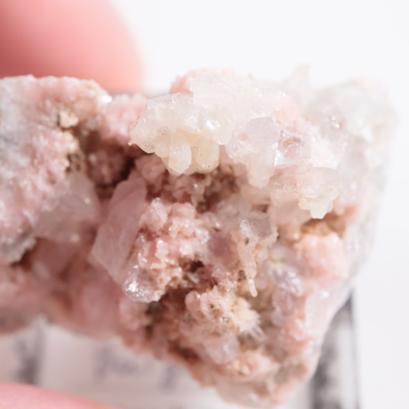 �֥륬�ꥢ�� �����ɥ���������