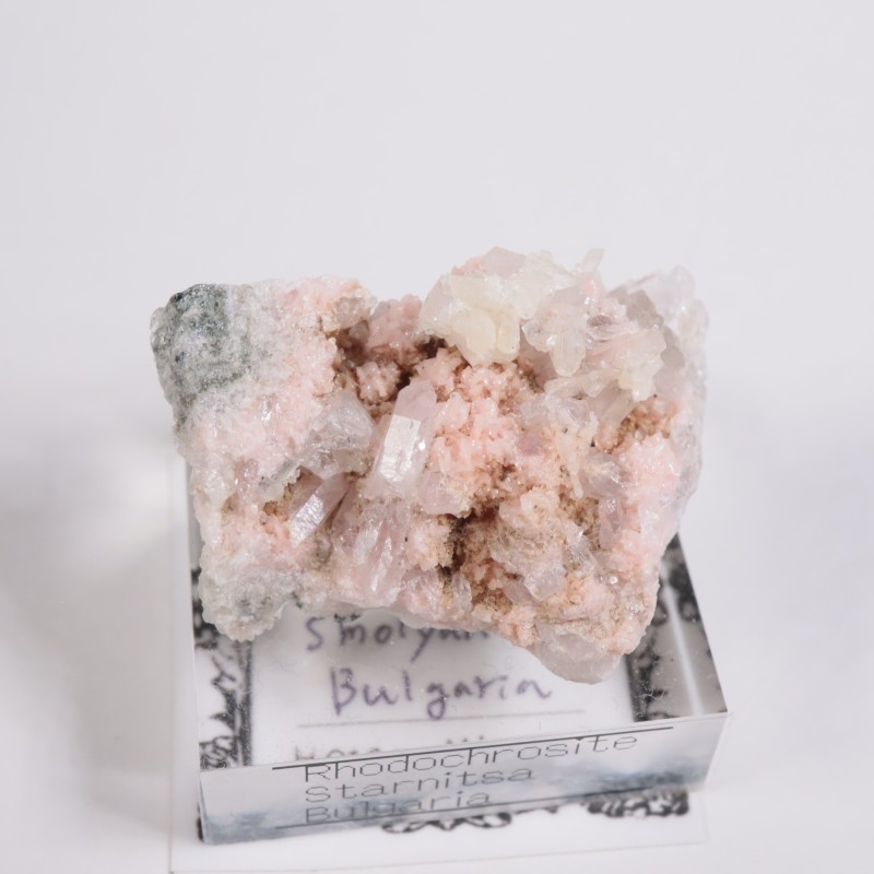 �֥륬�ꥢ�� �����ɥ���������